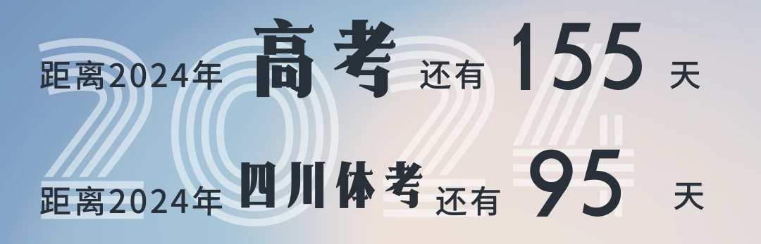 如何选择适合篮球康复训练的器材_2